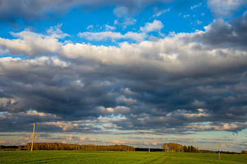 Image showing Landscape with blue cloudy sky, cereal field and trees.