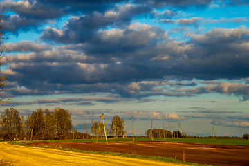 Image showing Landscape with blue cloudy sky, cereal field and trees.