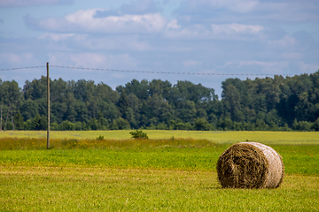 Image showing Hay bale in the meadow.