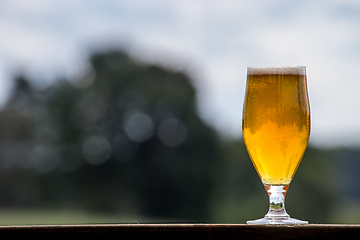 Image showing Glass of beer on green nature background. 