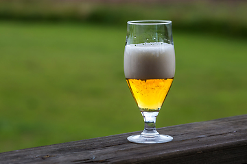 Image showing Glass of beer on green nature background. 