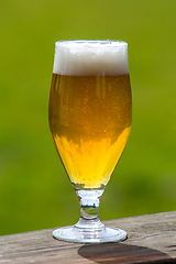 Image showing Glass of beer on green nature background. 
