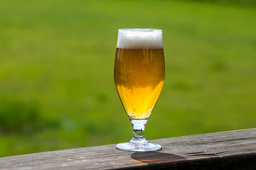 Image showing Glass of beer on green nature background. 