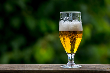 Image showing Glass of beer on green nature background. 