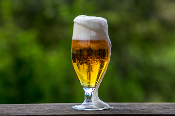 Image showing Glass of beer on green nature background. 