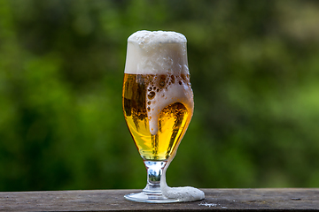 Image showing Glass of beer on green nature background. 