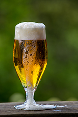 Image showing Glass of beer on green nature background. 