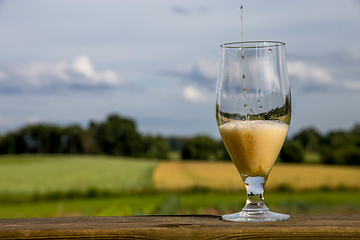 Image showing Glass of beer on summer landscape background. 