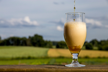 Image showing Glass of beer on summer landscape background. 