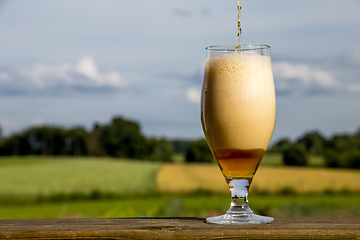 Image showing Glass of beer on summer landscape background. 