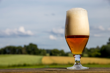 Image showing Glass of beer on summer landscape background. 