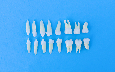 Image showing Top view of white teeth on blue background