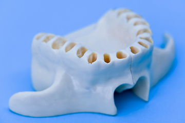 Image showing Upper human jaw without teeth