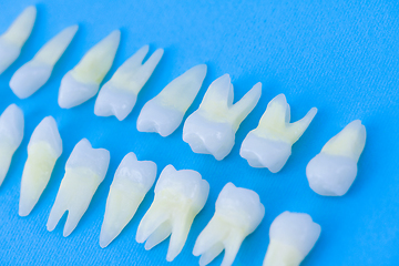 Image showing Top view of white teeth on blue background