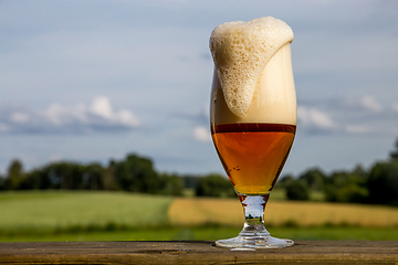 Image showing Glass of beer on summer landscape background. 