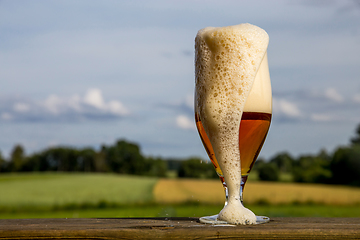 Image showing Glass of beer on summer landscape background. 