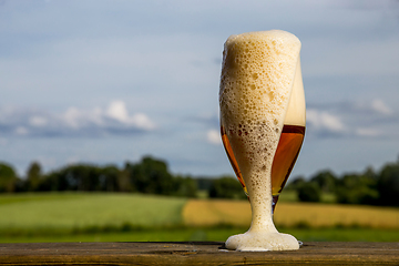 Image showing Glass of beer on summer landscape background. 