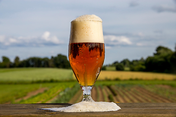 Image showing Glass of beer on summer landscape background. 