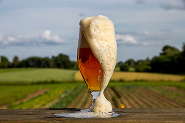 Image showing Glass of beer on summer landscape background. 