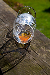 Image showing Overturned glass of beer on wooden table.