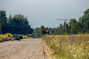 Image showing Landscape with rural road and storks.