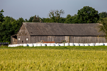 Image showing Hay bales in the meadow near the barn.