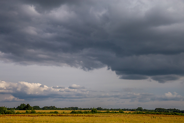 Image showing Landscape with cereal field, trees and cloudy blue sky