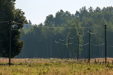 Image showing Fog on the forest in summer season.