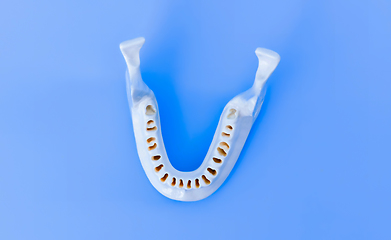 Image showing Lower human jaw without teeth