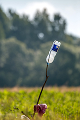 Image showing Plastic bottle in green field.