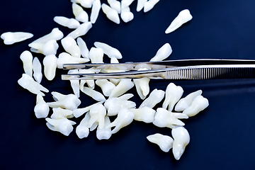 Image showing tweezers and white teeth on blue background