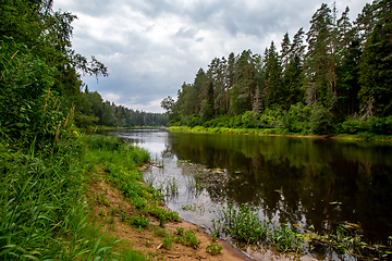 Image showing Landscape with river, forest and blue sky.