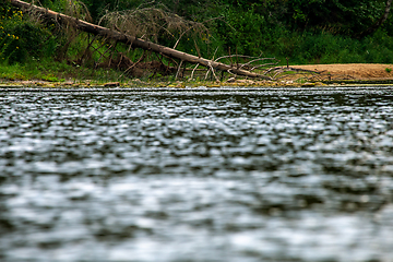 Image showing Landscape with forest on the river bank.