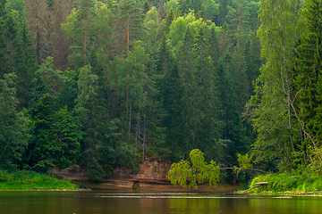 Image showing Landscape with river, cliff  and forest in Latvia.