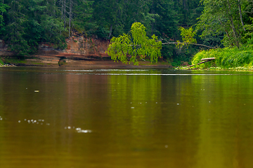 Image showing Landscape with river, cliff  and forest in Latvia.