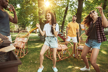 Image showing Happy friends are having beer and barbecue party at sunny day