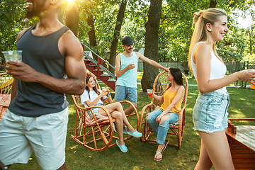 Image showing Happy friends are having beer and barbecue party at sunny day