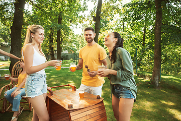 Image showing Happy friends are having beer and barbecue party at sunny day