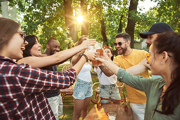 Image showing Happy friends are having beer and barbecue party at sunny day