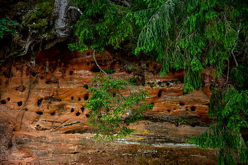 Image showing Red sandstone cliff and trees near the river.