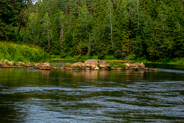 Image showing Landscape of river and green forest.