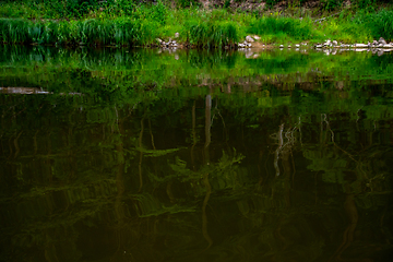 Image showing Landscape of river and reflection of green forest.