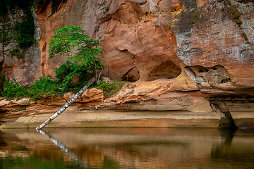 Image showing Red sandstone cliff on coast of the river 