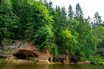 Image showing Landscape with river, cliff  and forest in Latvia.