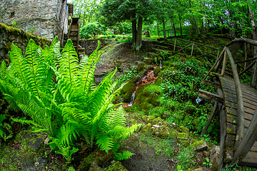 Image showing Ferns, bridge and mill in the old park