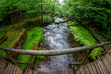 Image showing Forest with river, wooden bridge and hut