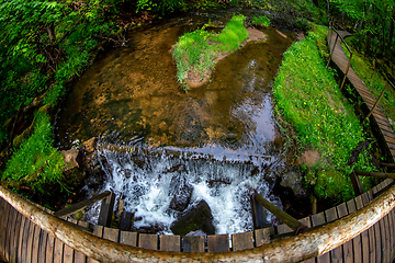 Image showing Forest with waterfall and wooden bridge