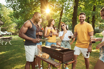 Image showing Happy friends are having beer and barbecue party at sunny day