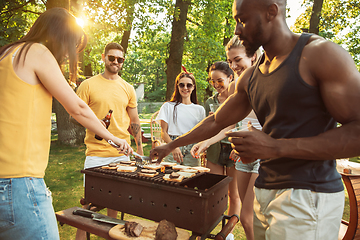 Image showing Happy friends are having beer and barbecue party at sunny day