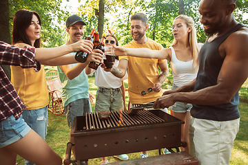 Image showing Happy friends are having beer and barbecue party at sunny day